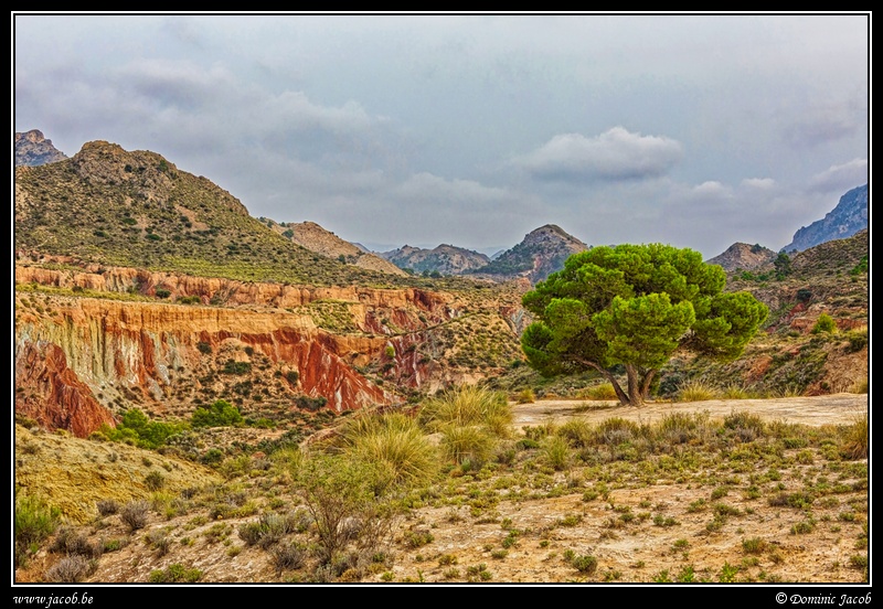 003-Montnegre